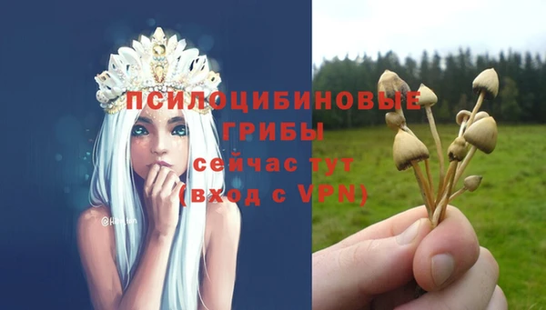 гашиш Нея